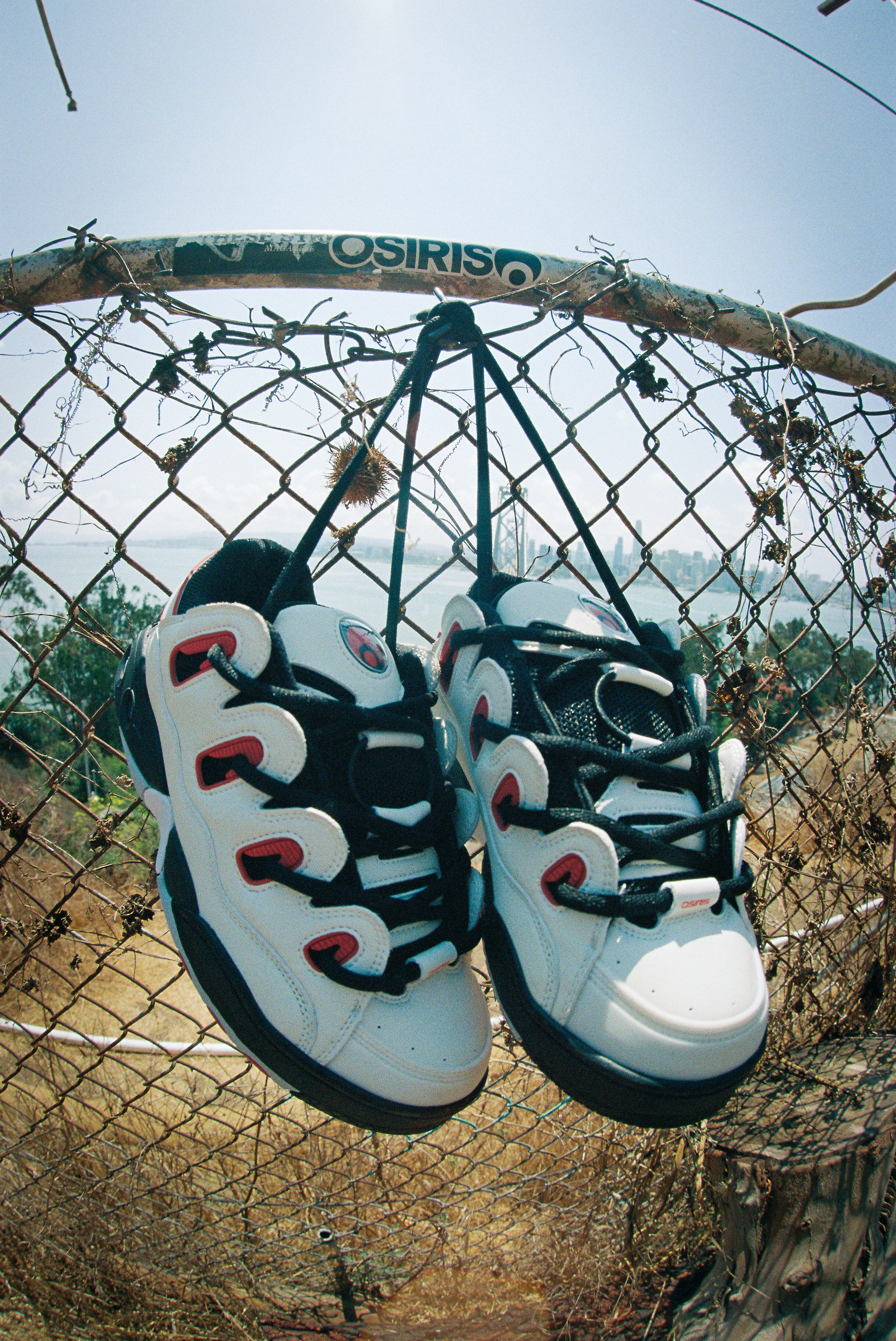 Zapatillas Skate Osiris Clone Mujer Multicolor Con Zapatillas